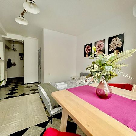 Victoriei Spacious Studio Bucharest Luaran gambar