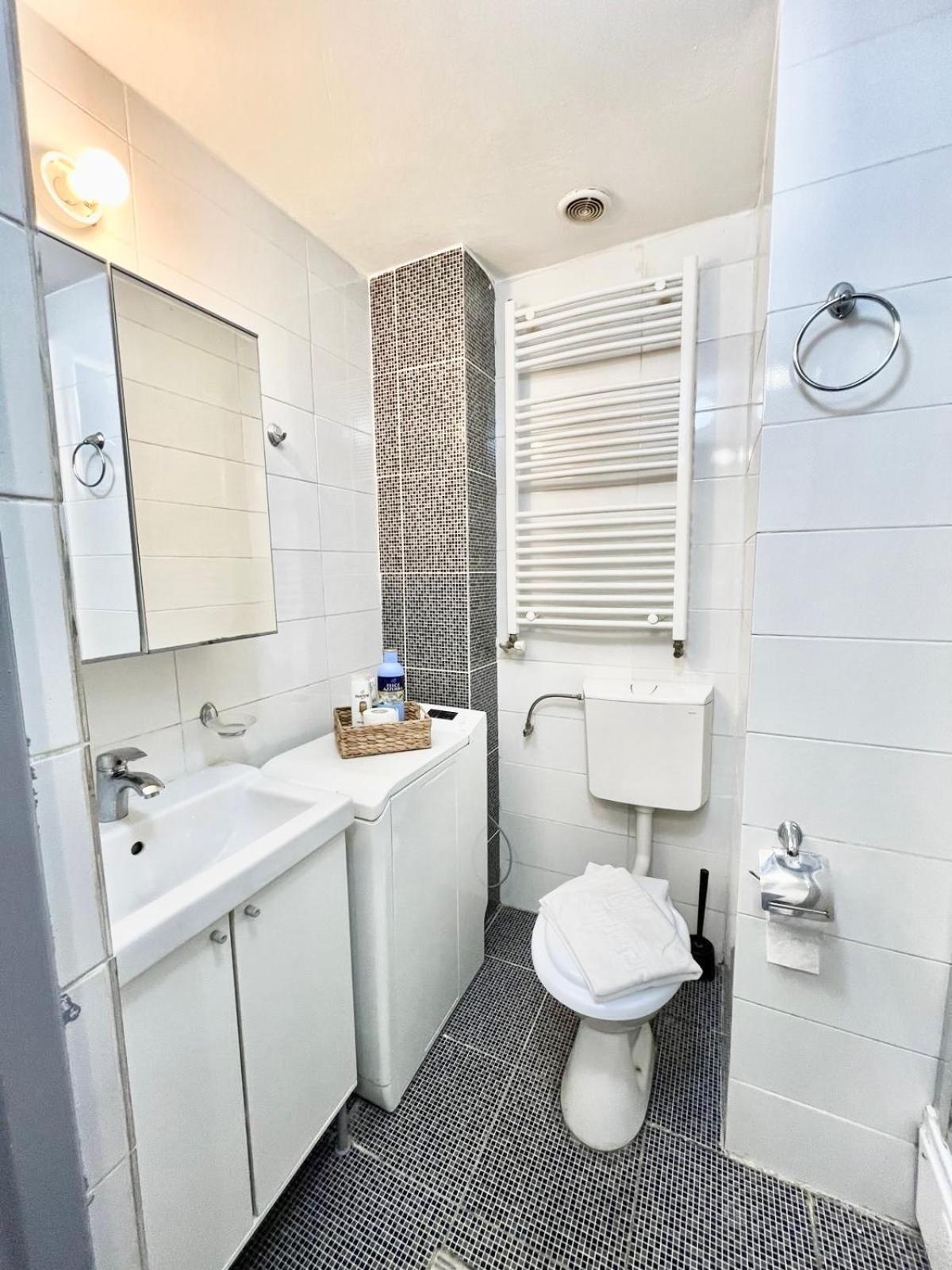Victoriei Spacious Studio Bucharest Luaran gambar