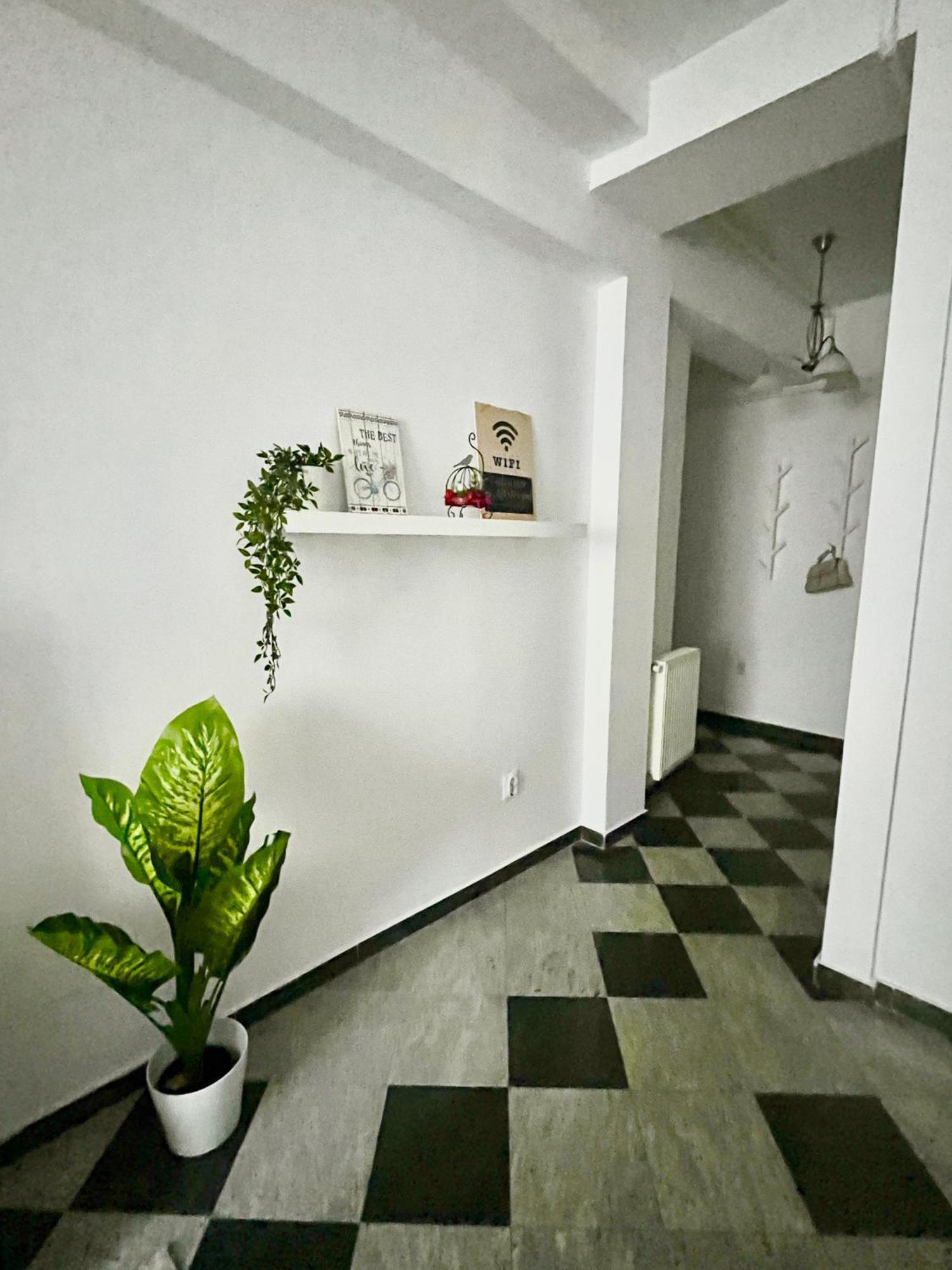 Victoriei Spacious Studio Bucharest Luaran gambar