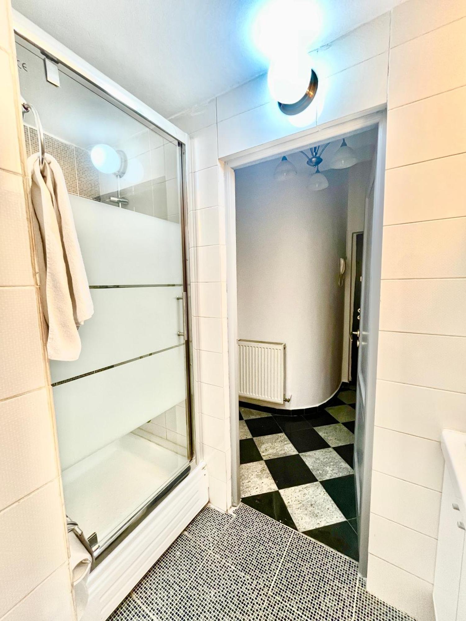 Victoriei Spacious Studio Bucharest Luaran gambar