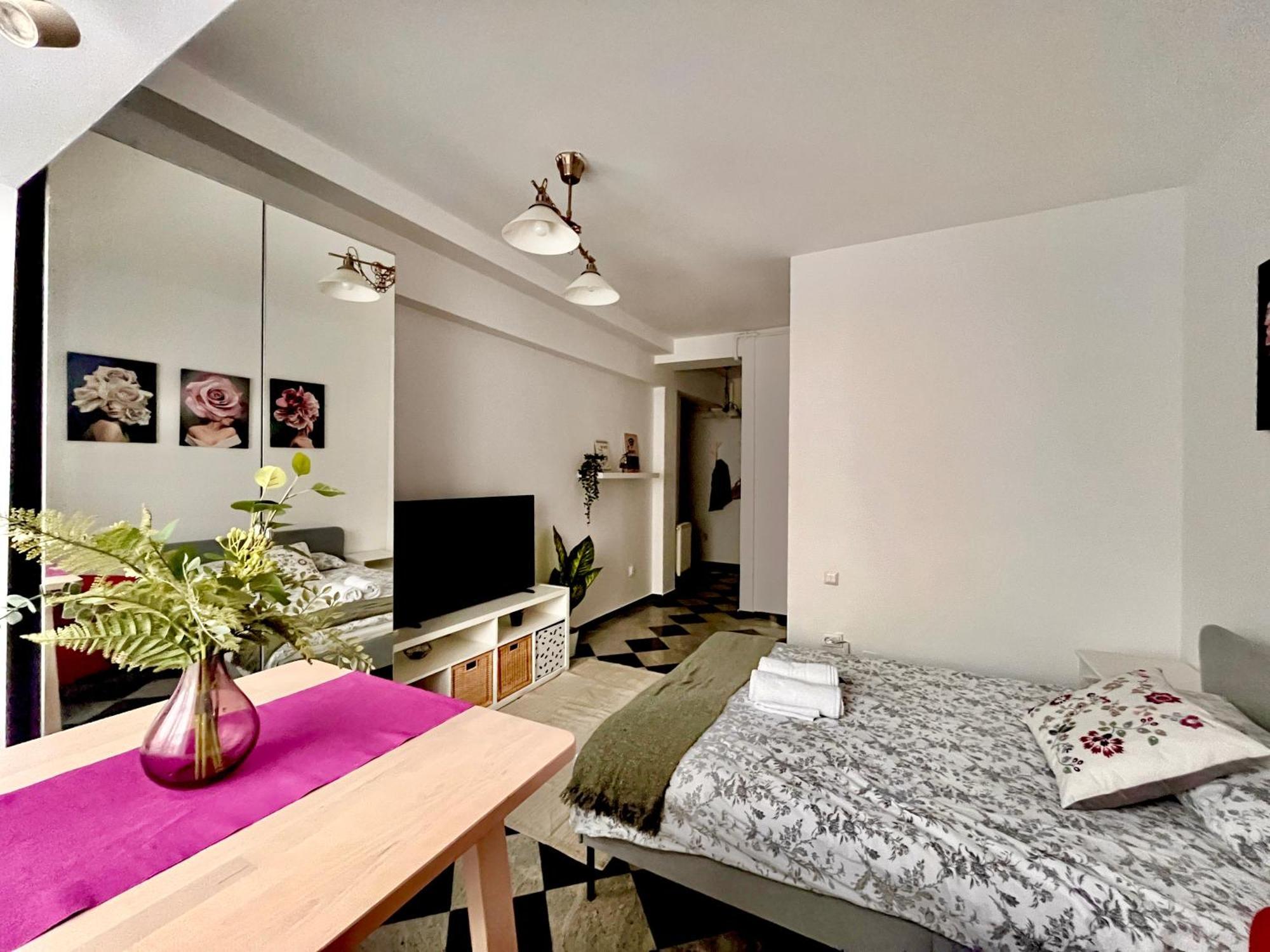 Victoriei Spacious Studio Bucharest Luaran gambar